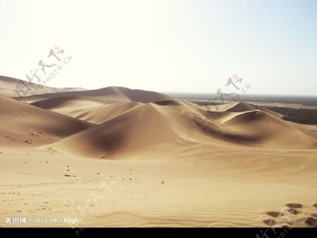 三维立体风光沙漠图片