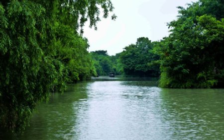杭州风景图片