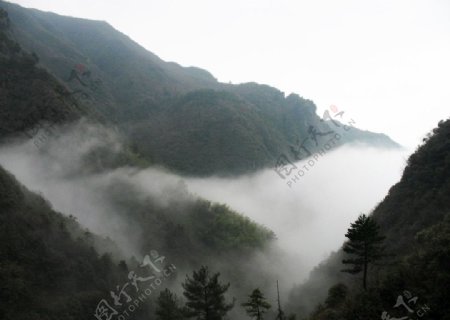 雾气缭绕的山谷图片