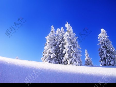 雪景壁纸图片