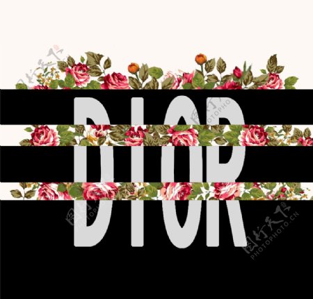 dior与鲜花组合图片