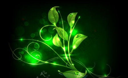 绿色动感光线绿叶水珠水滴图片