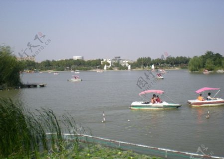 上海体育公园图片