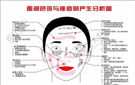 面部色斑与痤疮的产生分析图图片