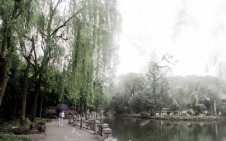 鲁迅公园景致图片