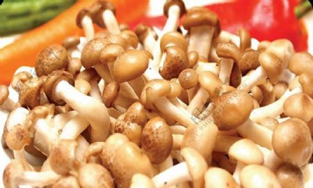 火锅涮菜蟹味菇图片