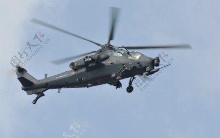 直10武装直升机图片