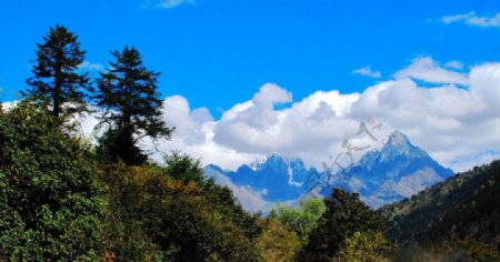 木格措风景图片