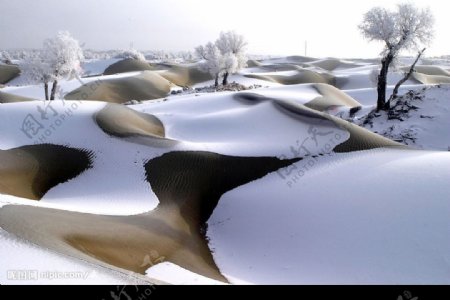新疆沙漠雪域奇观图片