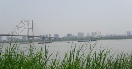 武汉风景图片