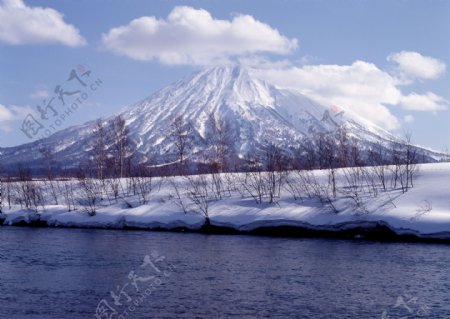 北海道冬景图片