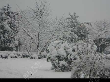 杭州雪景图片