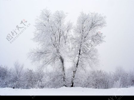 伊犁雪景图片