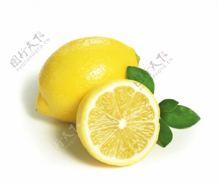 柠檬素材图片