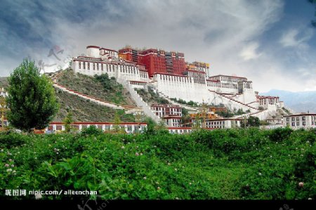 美丽的西藏图片
