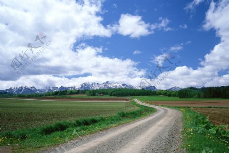 田间公路图片