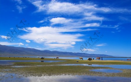 青海湖美景图片