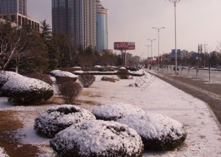 路边雪景图片