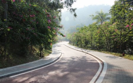 美丽风景图片