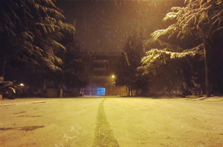 静谧的雪夜图片