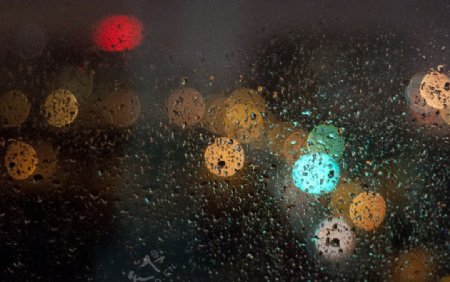 雨夜光斑图片