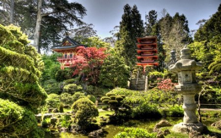山水风景风景名胜建筑景观自然风景旅游印记日本茶花园图片