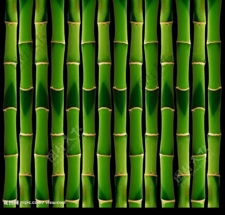 绿色竹子背景图片素材2