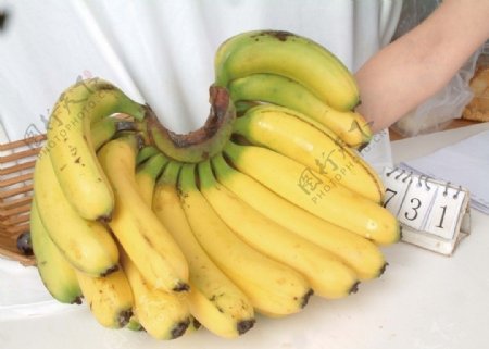 国产香蕉图片