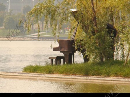 天鹅湖上的钢琴图片