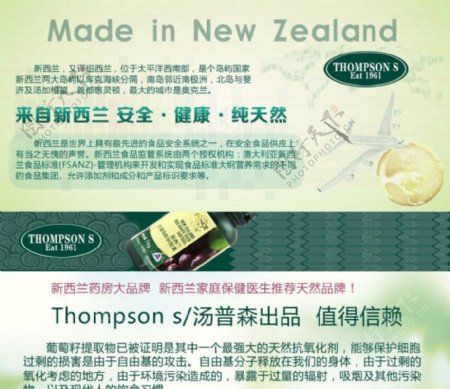 新西兰汤普森葡萄籽图片