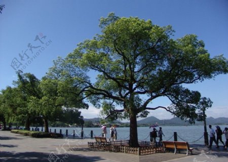 湖滨公园风景图片