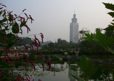 济宁市人民公园图片