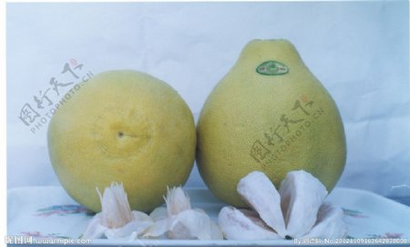 沙田柚柚子甜柚图片
