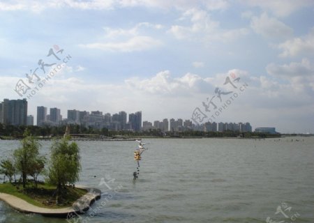 苏州金鸡湖湖景图片
