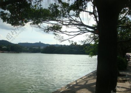 广东惠州西湖美景图图片