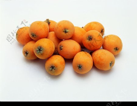 水果枇杷图片