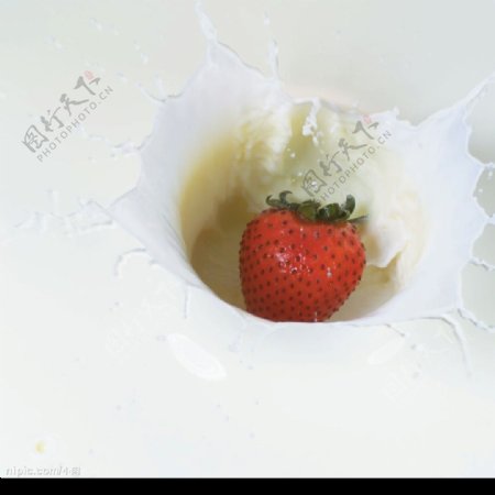 动感草莓图片