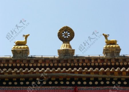 塔尔寺青海高原寺庙藏传佛教金顶图片
