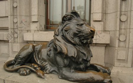 建设银行门口的铜狮图片