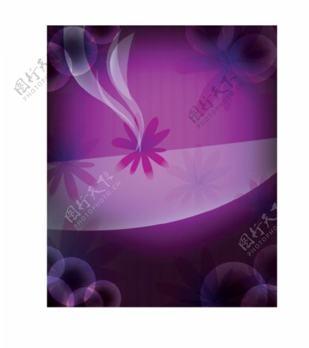 紫色图片