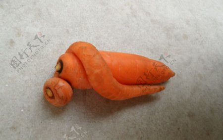 异型萝卜图片