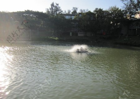 麗池的水車图片
