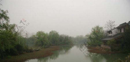 西溪风景图片