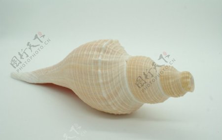 海螺号2图片