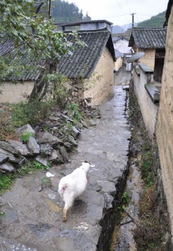 湘西少数民族小村庄图片