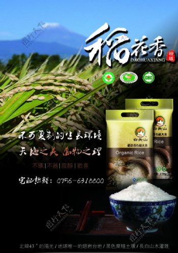 稻花香大米广告图片