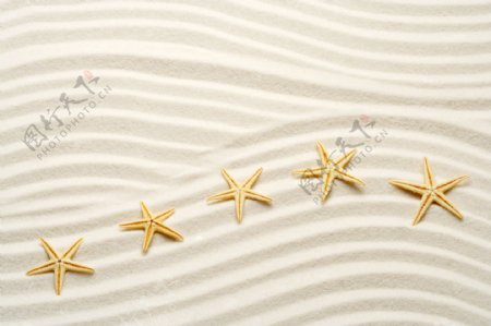 海星沙滩图片