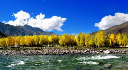 山清水秀的西藏图片