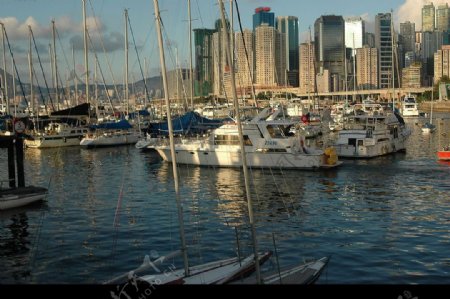 午后的香港维多利亚港湾图片