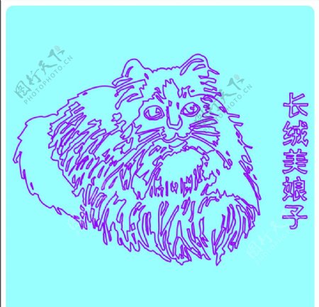 可爱的手绘猫咪图片